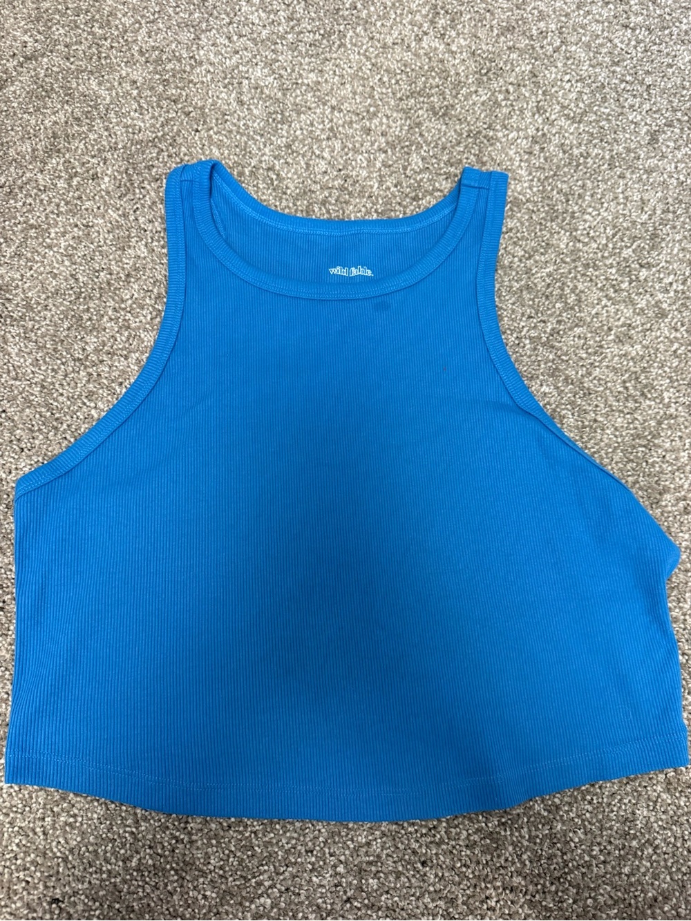 wild fable Blue Ribbed Cropped Tank